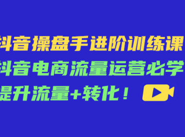 （3113）抖音操盘手进阶训练课：抖音电商流量运营必学，提升流量+转化！