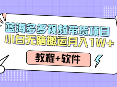 (3136)<strong>人人都能操作的蓝海多多视频带货项目 小白无脑搬运月入10000+(教程+软件)</strong>