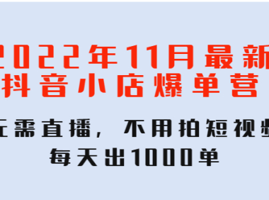 (3149)2022年11月最新抖音小店爆单训练营:无需直播,不用拍短视频,每天出1000单
