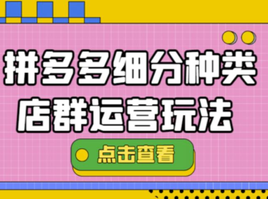 (3169)拼多多细分种类店群运营玩法3.0,11月最新玩法,小白也可以操作