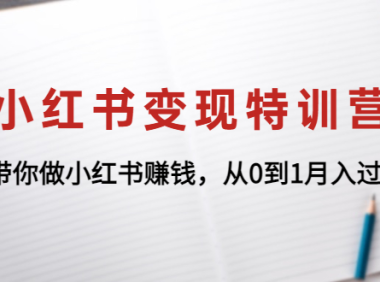 (3176)小红书变现特训营:带你做小红书赚钱,从0到1月入过万