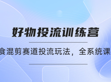 （3177）好物推广投流训练营：零食混剪赛道投流玩法，全系统课程！