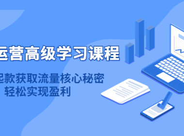 (3190)淘宝运营高级学习课程:快速获取流量核心秘密,轻松实现盈利!
