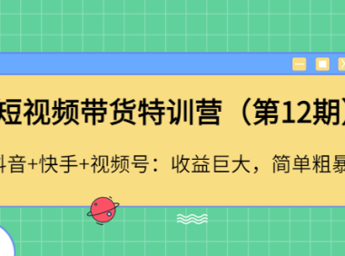 （3220）短视频带货特训营（第12期）抖音+快手+视频号：收益巨大，简单粗暴！