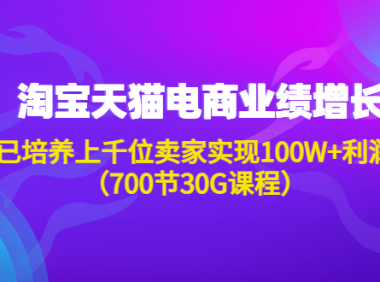 (3227)淘系天猫电商业绩增长:已培养上千位卖家实现100W+利润(700节30G课程)