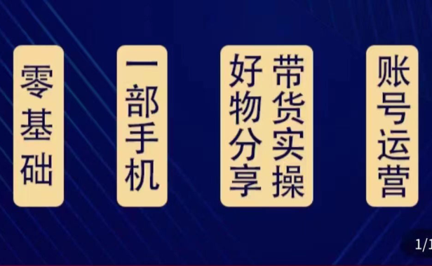(2766)好物分享高阶实操课:0基础一部手机做好好物分享带货(24节课)