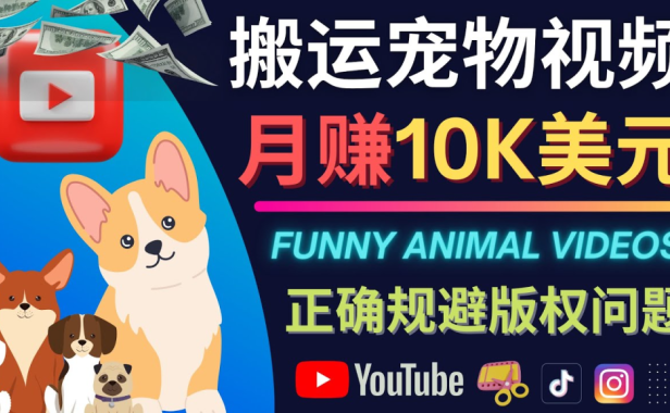 (3006)搬运TIKTOK视频到YouTube,并进行二次创作,月赚1万美元以上
