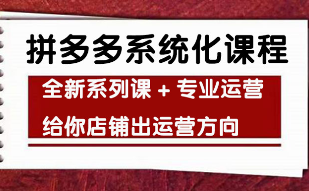 （3045）车神陪跑，拼多多系统化课程，全新系列课+专业运营给你店铺出运营方向