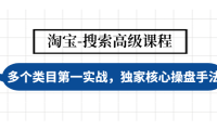 (3237)淘宝-搜索高级课程:多个类目第一实战,独家核心操盘手法