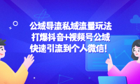 （3239）公域导流私域流量玩法：打爆抖音+视频号公域，快速引流到个人微信！