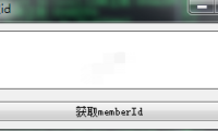 （3255）口味王ID（MemberId）获取器PC版_口味王项目辅助软件