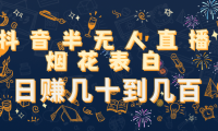 （3272）抖音半无人直播烟花表白，日赚几十到几百（教程+视频模板素材）