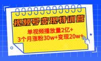 (3310)20天视频号变现特训营:单视频播放量2亿+3个月涨粉30w+变现20w+