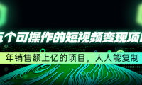 (3315)五个可操作的短视频变现项目:年销售额上亿的项目,人人能复制