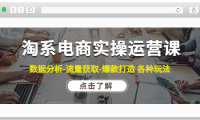 (3323)淘宝电商实操运营课:数据分析-流量获取-爆款打造 各种玩法(63节)