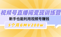 （3328）视频号直播间变现训练营：新手也能利用视频号赚钱，5个月GMV200w