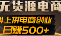 (3339)抖上拼无货源电商创业项目、外面收费12800,日赚500+的案例解析参考