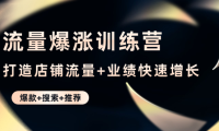 (3366)流量爆涨训练营:打造店铺流量+业绩快速增长 (爆款+搜索+推荐)