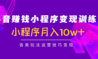 （3417）抖音赚钱小程序变现训练营：小程序月入10w+各类玩法运营技巧变现