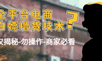 (3427)外面收费2980的全平台电商白嫖撸货技术(仅揭秘-勿操作-商家必看)