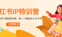 (3441)小红书IP特训营:从搭建-制作-爆款脚本等等,做一个赚钱的小红书号
