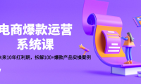 (3443)电商爆款运营系统课:迎接未来10年红利期,拆解100+爆款产品实操案例