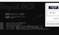 （3477）StupidOCR验证码识别（可本地,可部署服务器）