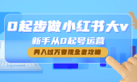 (3482)0起步做小红书大v,新手从0起号运营,月入过万变现全套攻略
