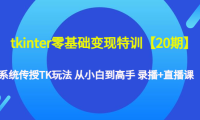 (3495)tkinter零基础变现特训【20期】系统传授TK玩法 从小白到高手 录播+直播课