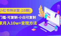 (3497)小红书特训营(第10期)低门槛-可复制-小白可复制-独家月入10w+变现方法