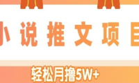 (3498)小说推文副业赚钱项目,另类进阶玩法,轻松月撸5W+