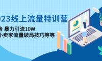（3513）2023线上流量特训营：包含暴力引流10W+中小卖家流量破局技巧等等