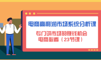 (3421)电商高利润市场系统分析课:专门讲市场的赚钱机会,电商必看(23节课)