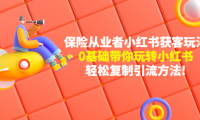 (3428)保险从业者的小红书获客玩法:0基础带你玩转小红书 轻松复制引流方法