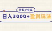 (3429)资料IP变现,能稳定日赚3000起的持续性盈利玩法