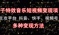 (3441)《粒子特效音乐短视频变现项目》主攻平台 抖音、快手、视频号 多种变现方法