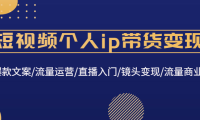 (3453)短视频个人ip带货变现:爆款文案/流量运营/直播入门/镜头变现/流量商业