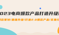 (3470)2023电商爆款产品打造升级课:爆款策划/思维升级/打造2.0爆款产品/【推荐】