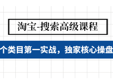 (3237)淘宝-搜索高级课程:多个类目第一实战,独家核心操盘手法