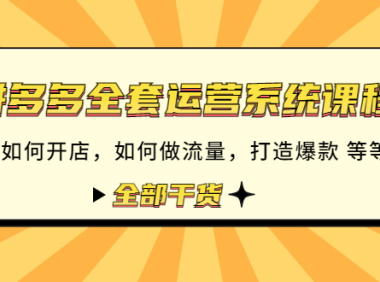 (3268)拼多多全套运营系统课程:新手如何开店 如何做流量 打造爆款 等等 全部干货