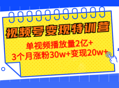 (3310)20天视频号变现特训营:单视频播放量2亿+3个月涨粉30w+变现20w+