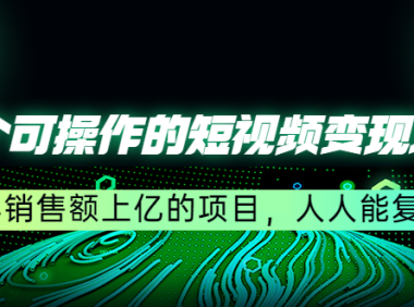 (3315)五个可操作的短视频变现项目:年销售额上亿的项目,人人能复制