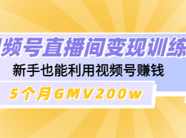 （3328）视频号直播间变现训练营：新手也能利用视频号赚钱，5个月GMV200w