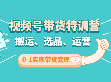 (3335)视频号带货特训营(第3期):搬运、选品、运营、0-1实现带货变现