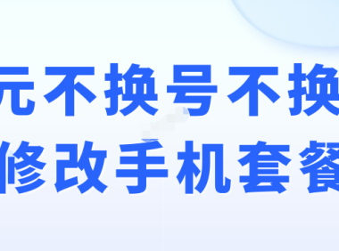 （3347）拼多多淘宝卖到几千单的8元不换号不换卡修改手机套餐教程