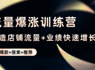 (3366)流量爆涨训练营:打造店铺流量+业绩快速增长 (爆款+搜索+推荐)