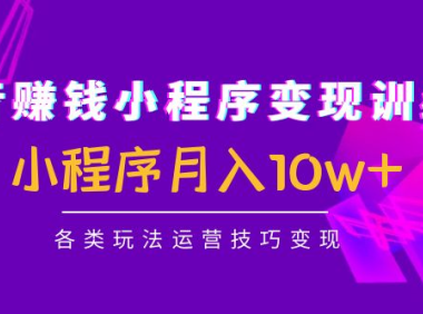（3417）抖音赚钱小程序变现训练营：小程序月入10w+各类玩法运营技巧变现