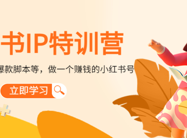 (3441)小红书IP特训营:从搭建-制作-爆款脚本等等,做一个赚钱的小红书号