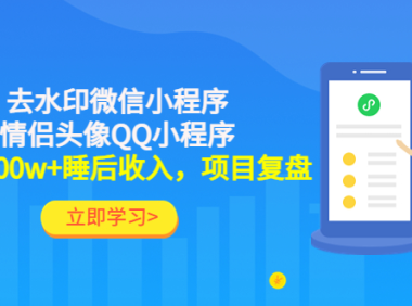 (3466)利用去水印微信小程序+情侣头像QQ小程序,获得300w+睡后收入,项目复盘