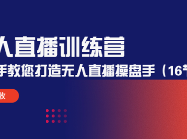 （3505）无人直播训练营：手把手教您打造无人直播操盘手（16节课时）